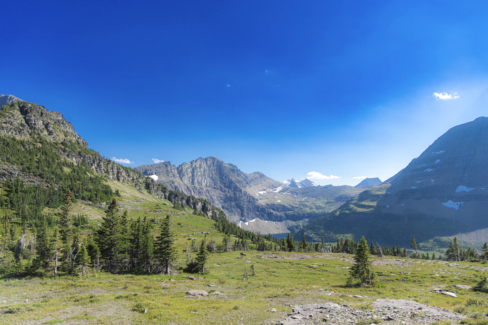 Whitefish, Montana photo 24 by Lily Miller