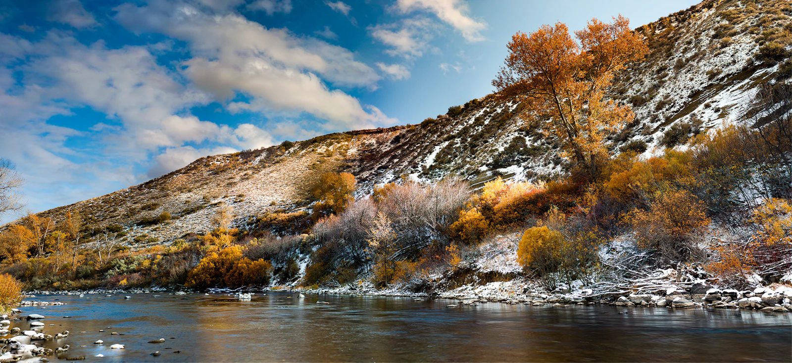 Reno, Nevada photo 14 by M. B. Louis