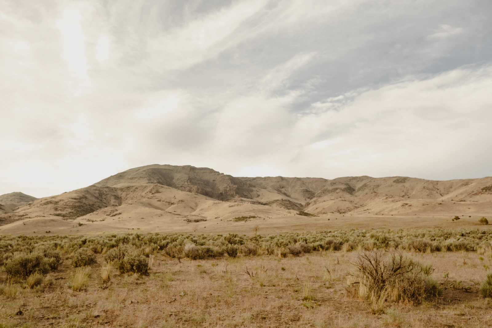 Reno, Nevada photo 18 by Emmy Gaddy