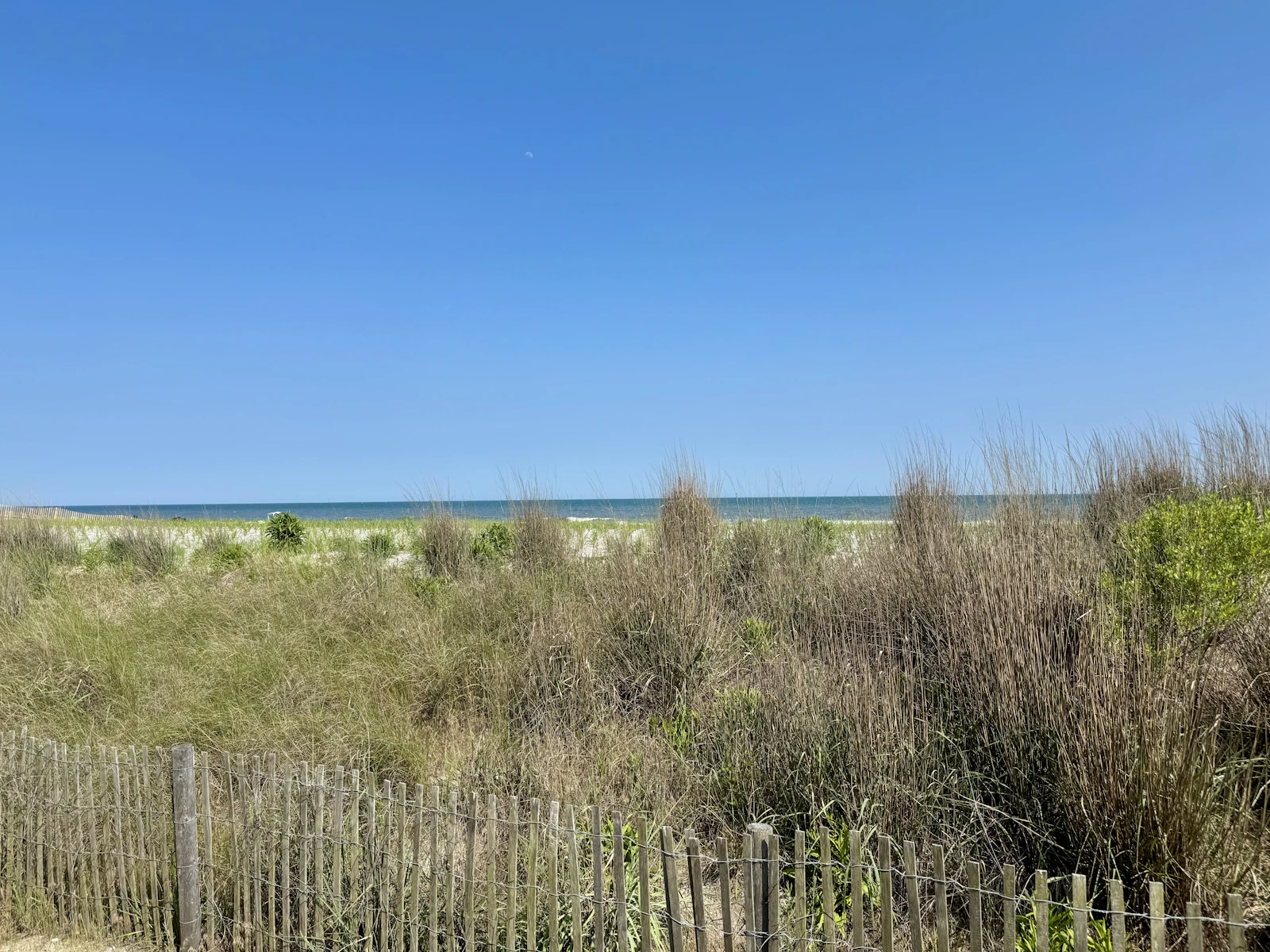 Atlantic City, New Jersey photo 3 by Tiffany Scalzo
