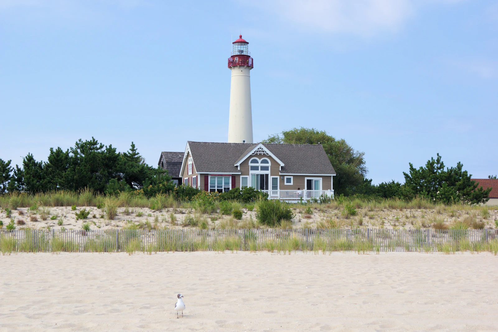 Cape May, New Jersey photo 1 by rod m