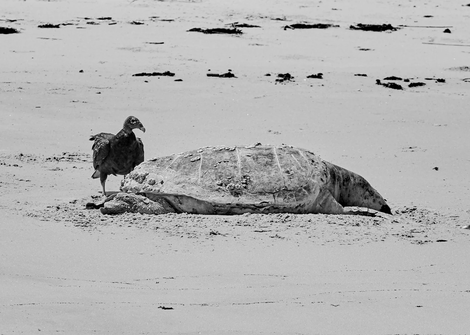 Cape May, New Jersey photo 29 by Jongsun Lee