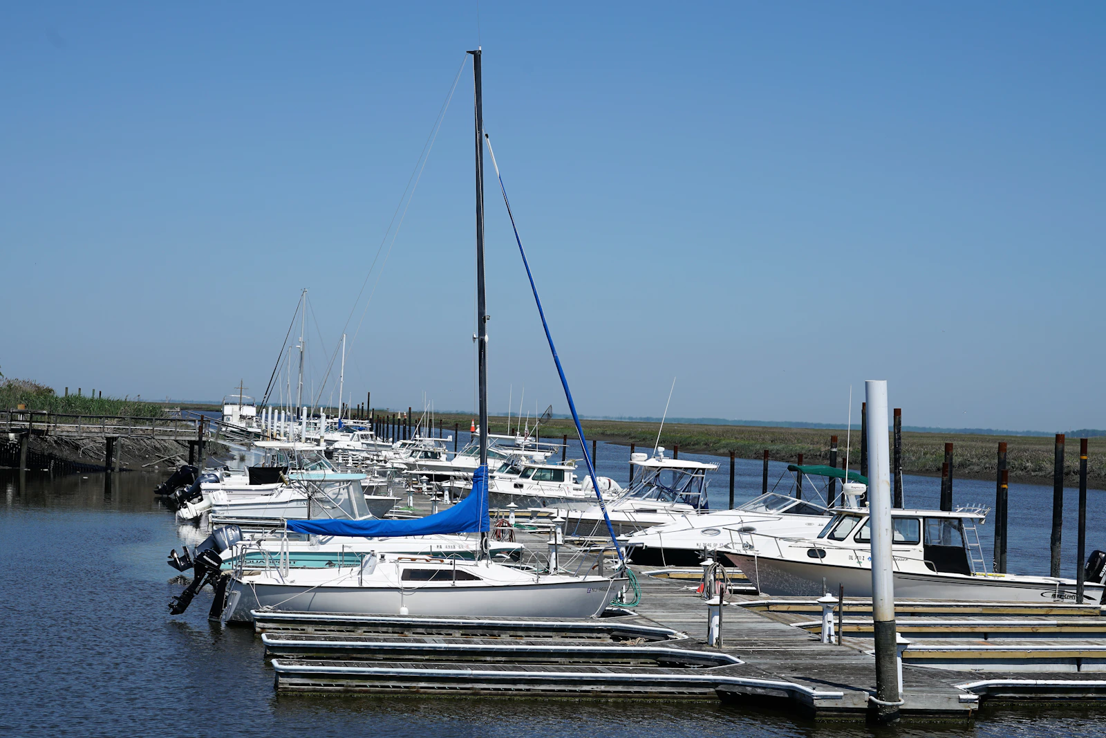 Cape May, New Jersey photo 4 by Vito Natale