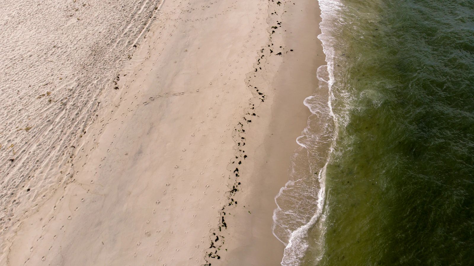Cape May, New Jersey photo 8 by Timothy Allen