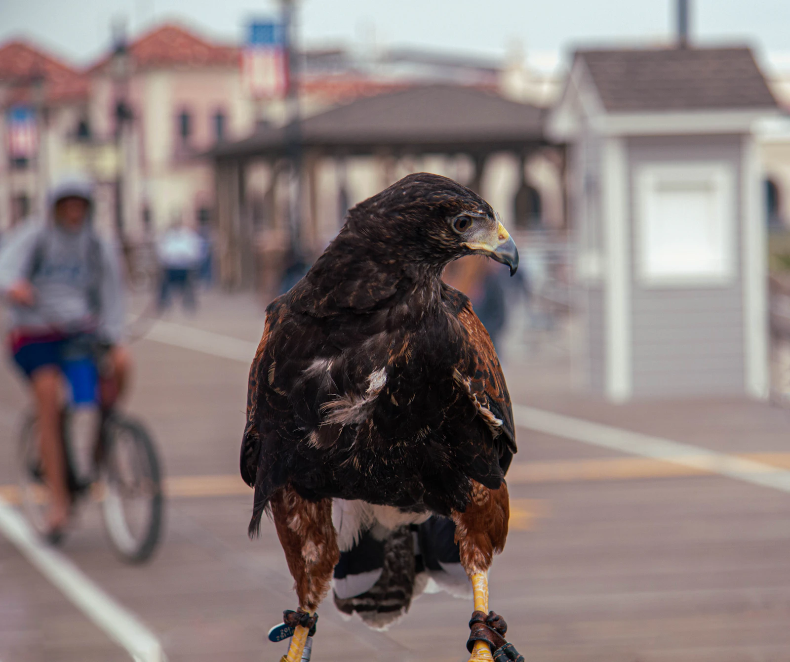 Ocean City, New Jersey photo 18 by Connor Gan