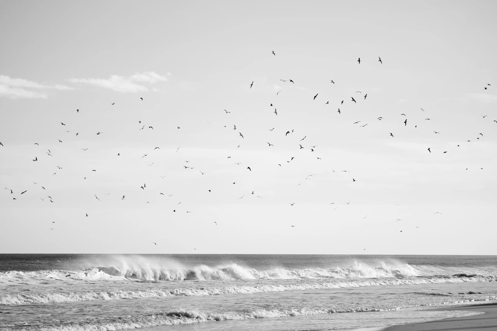 Ocean City, New Jersey photo 10 by Hayley Pfitzer