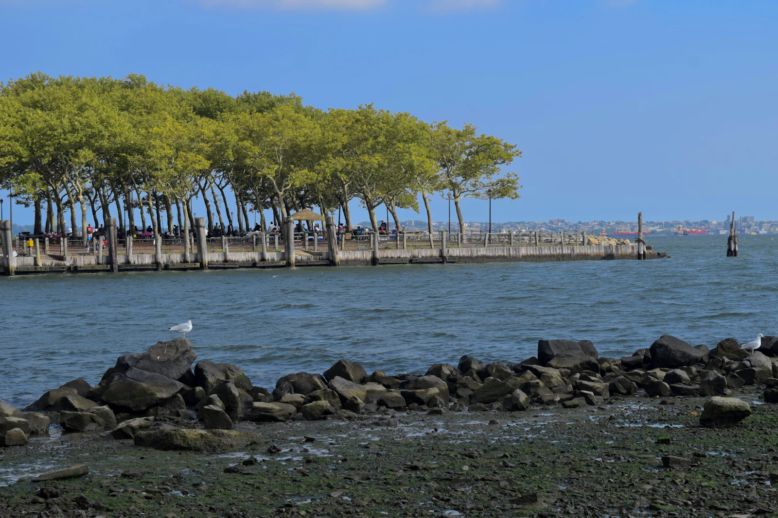 Ocean City, New Jersey photo 5 by Praswin Prakashan