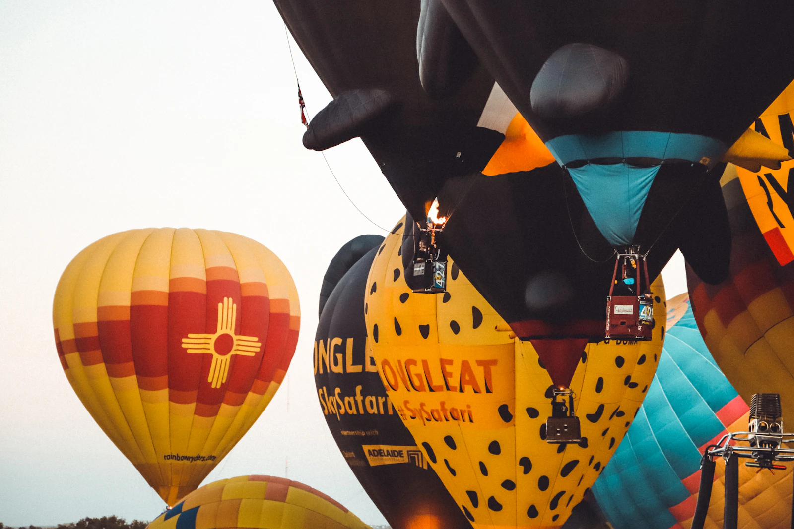 Albuquerque, New Mexico photo 11 by Chase McBride