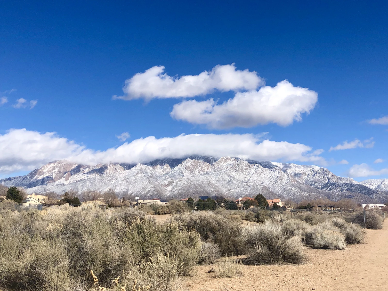 Albuquerque, New Mexico photo 6 by Stephanie Klepacki