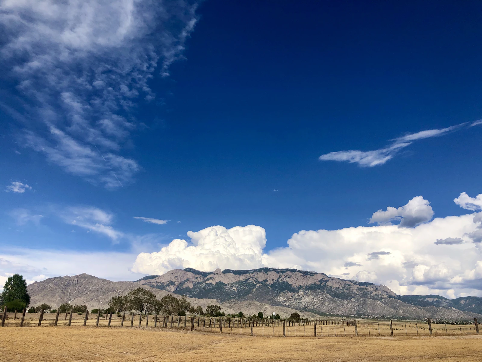 Albuquerque, New Mexico photo 10 by Stephanie Klepacki