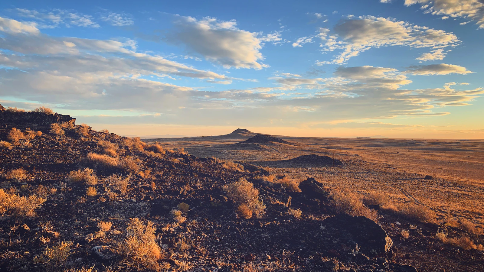 Albuquerque, New Mexico photo 1 by Ethan Wright-Magoon
