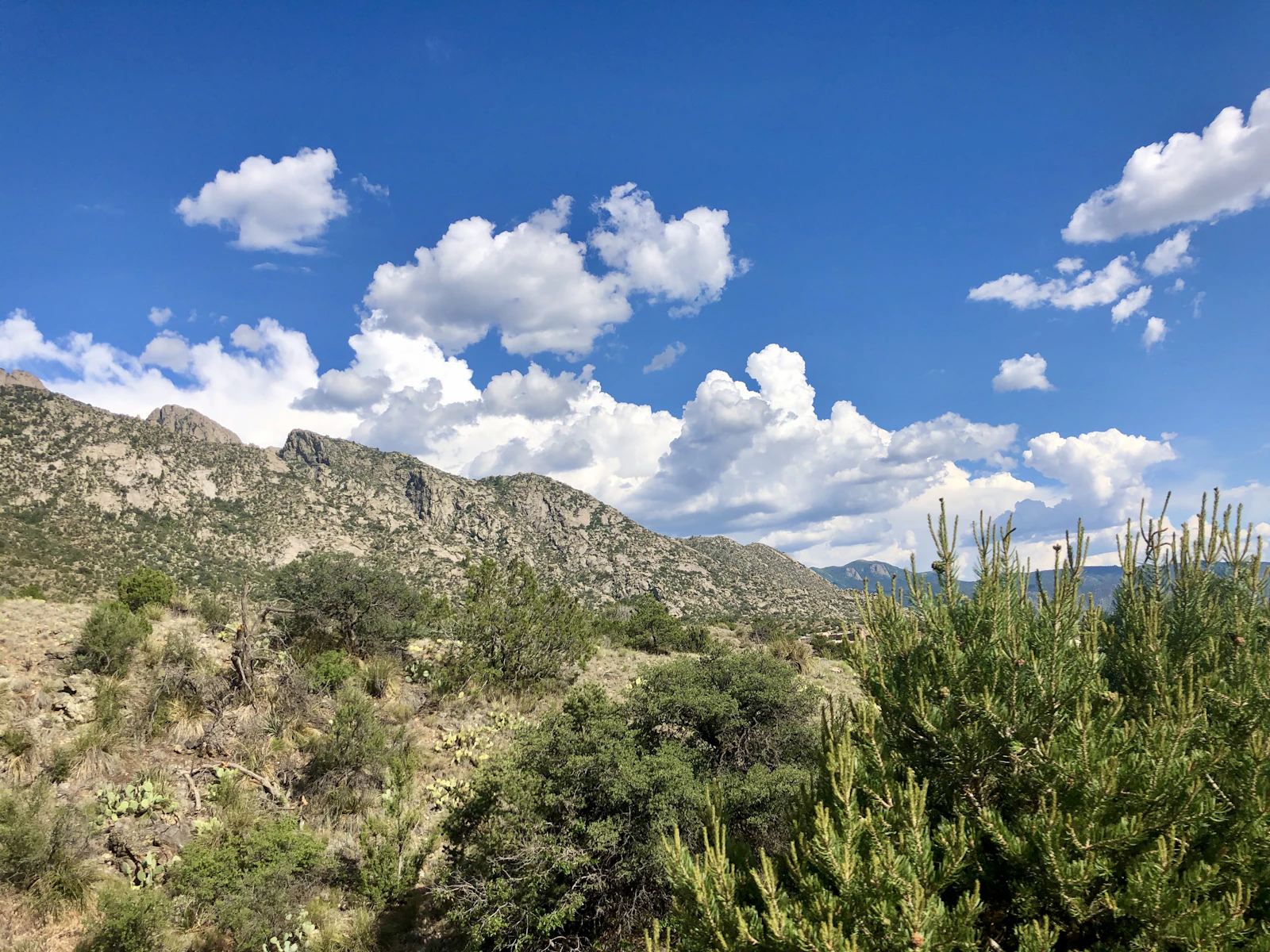Albuquerque, New Mexico photo 13 by Stephanie Klepacki