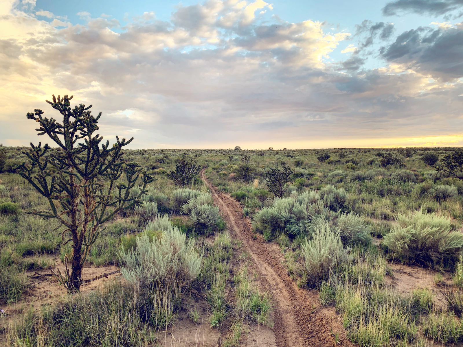 Albuquerque, New Mexico photo 9 by Ethan Wright-Magoon