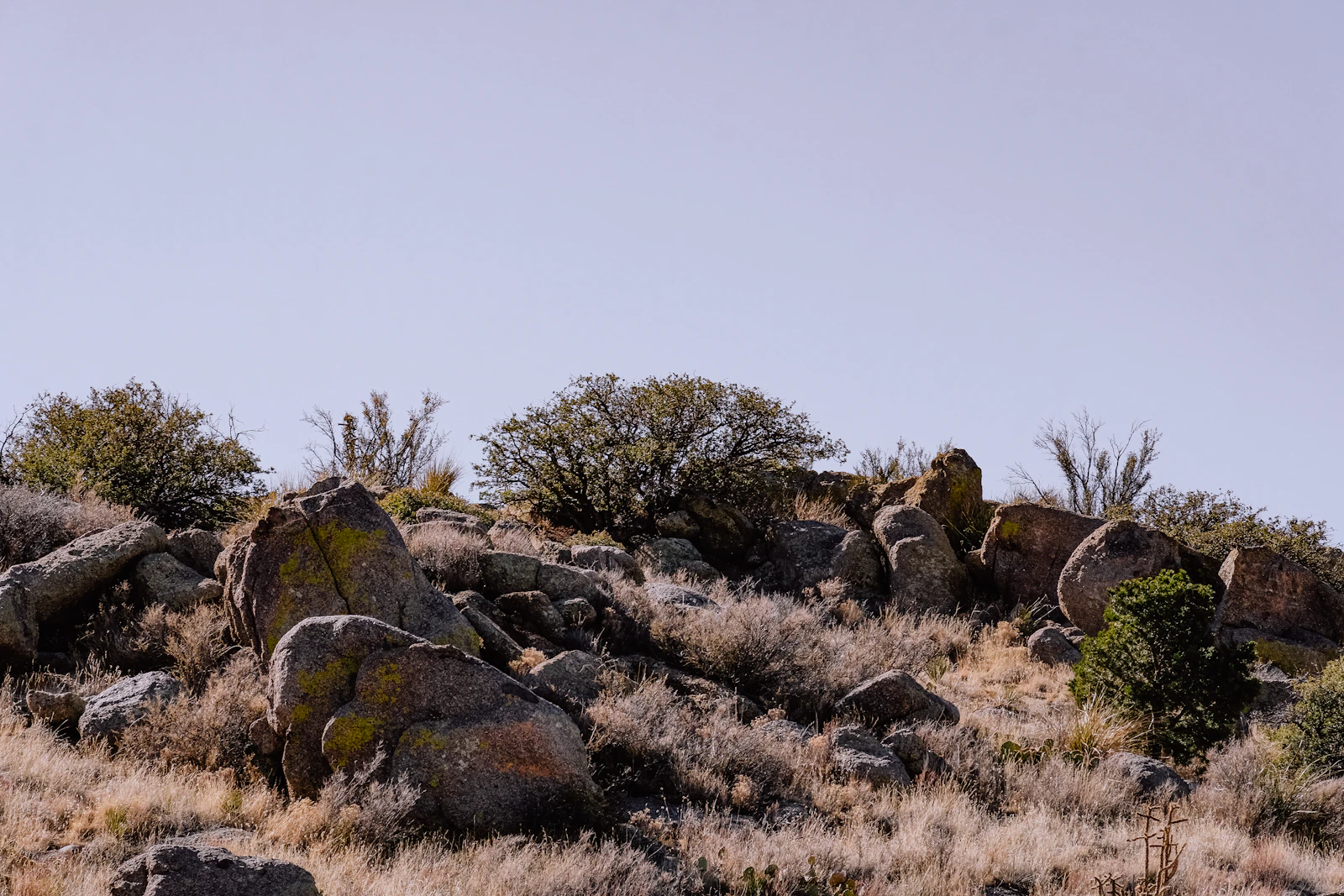 Albuquerque, New Mexico photo 12 by T L