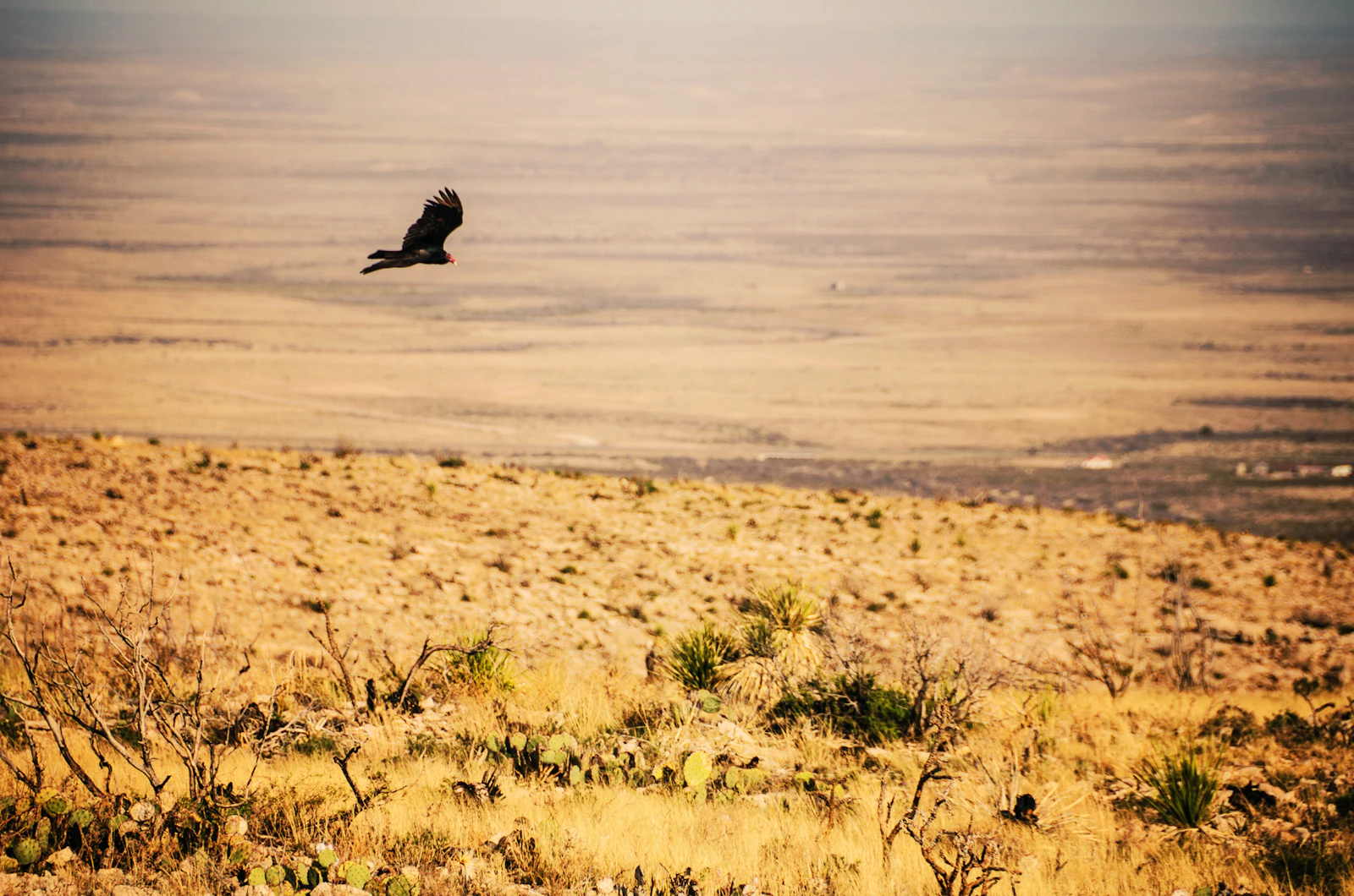 Carlsbad, New Mexico travel photo