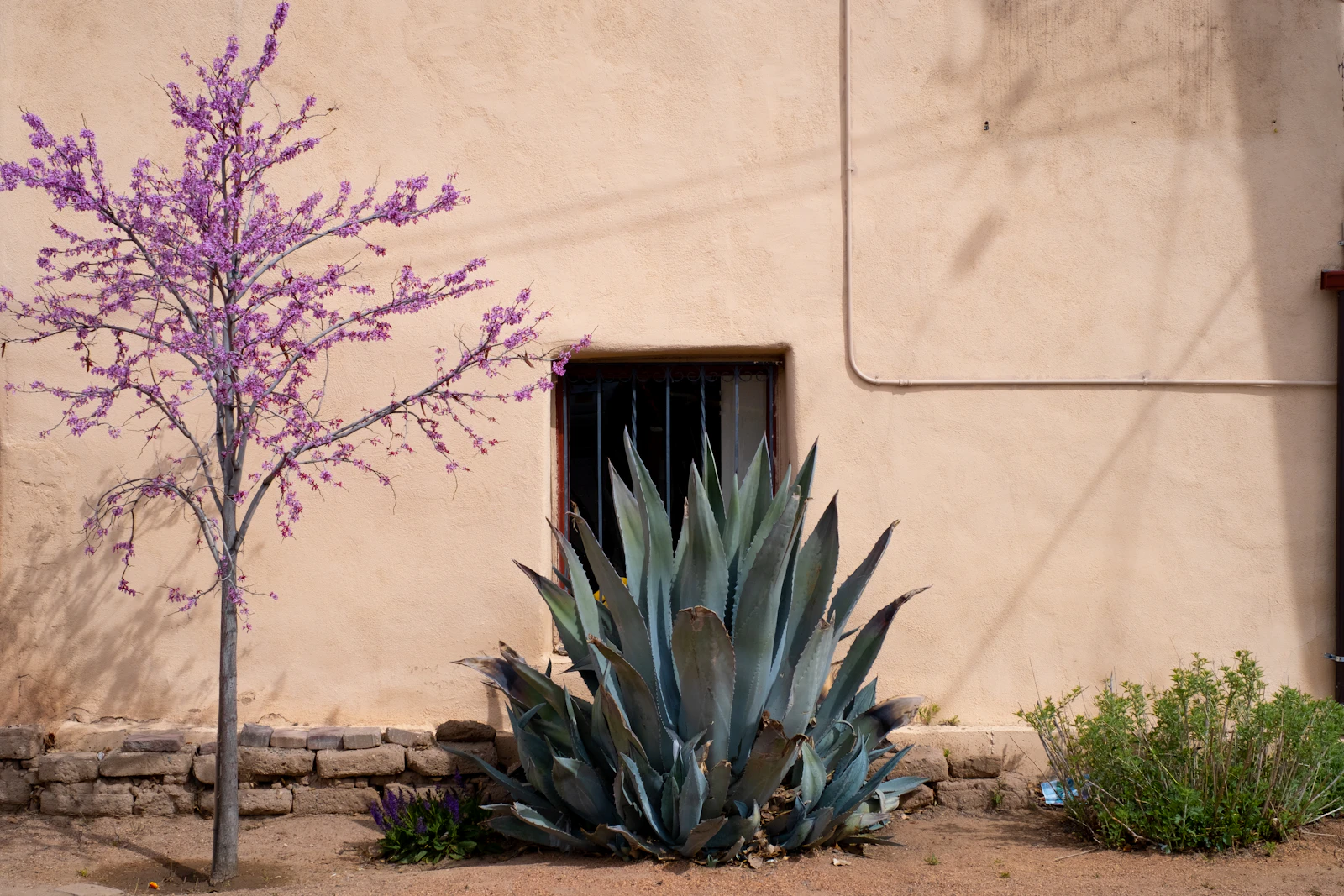 Santa Fe, New Mexico photo 15 by Moriah Wolfe