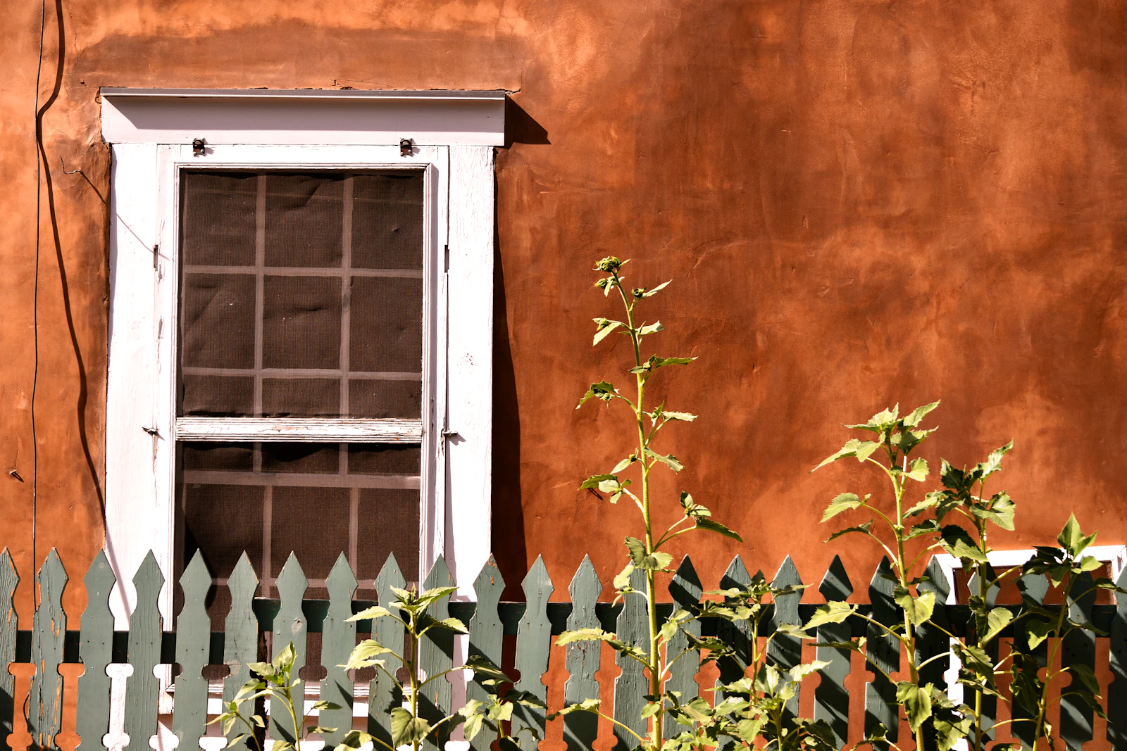 Santa Fe, New Mexico photo 23 by Sean Quillen