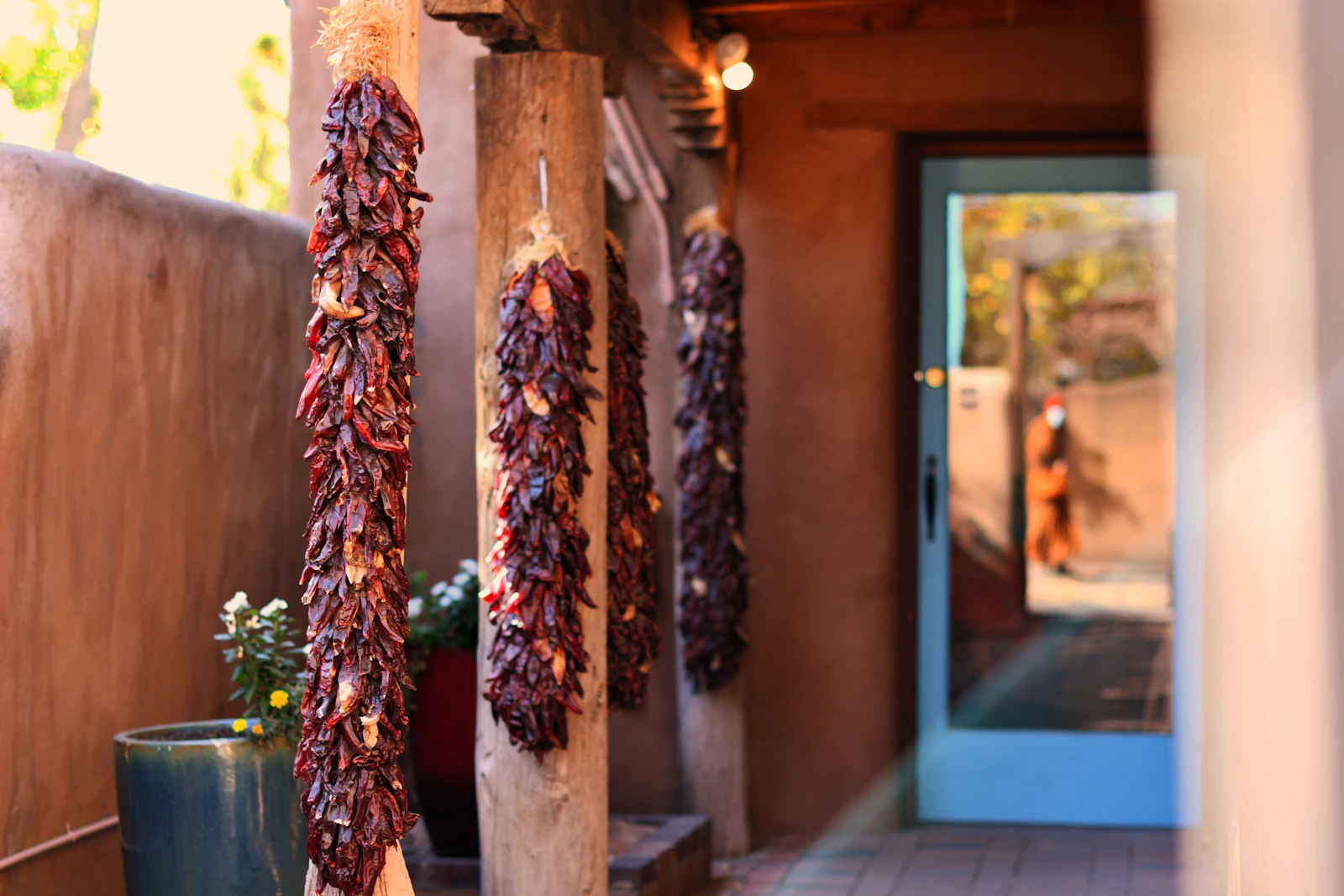 Santa Fe, New Mexico photo 6 by Sean Quillen