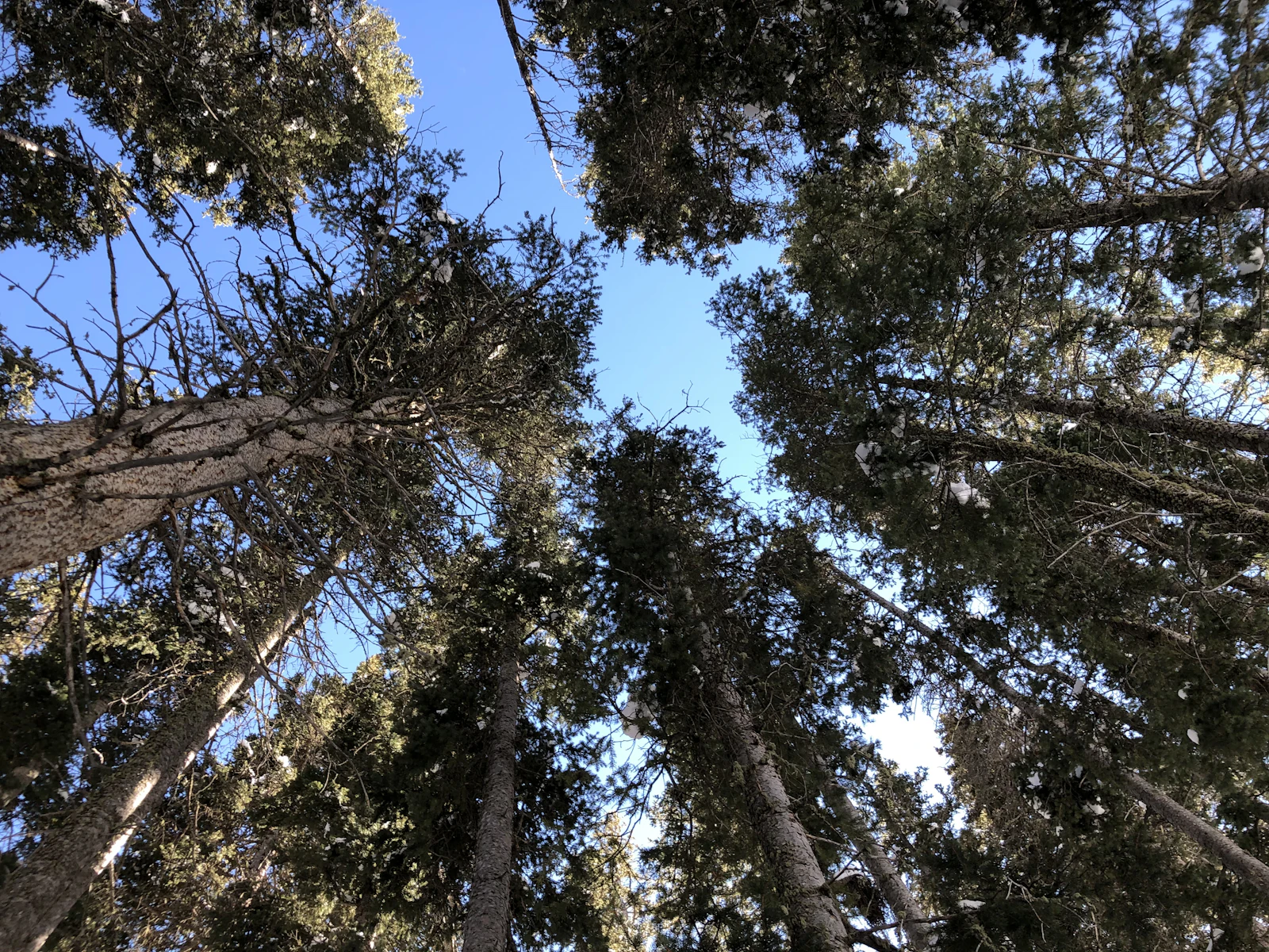 Taos, New Mexico photo 23 by gotafli