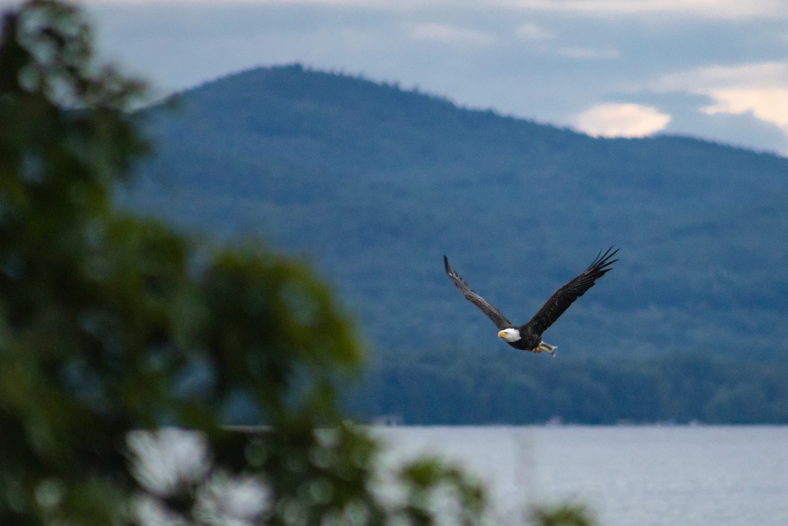 Lake George, New York photo 14 by Bill Alexy