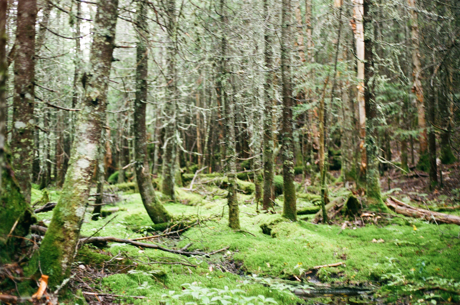 Lake Placid, New York photo 13 by Matthew Kettelkamp