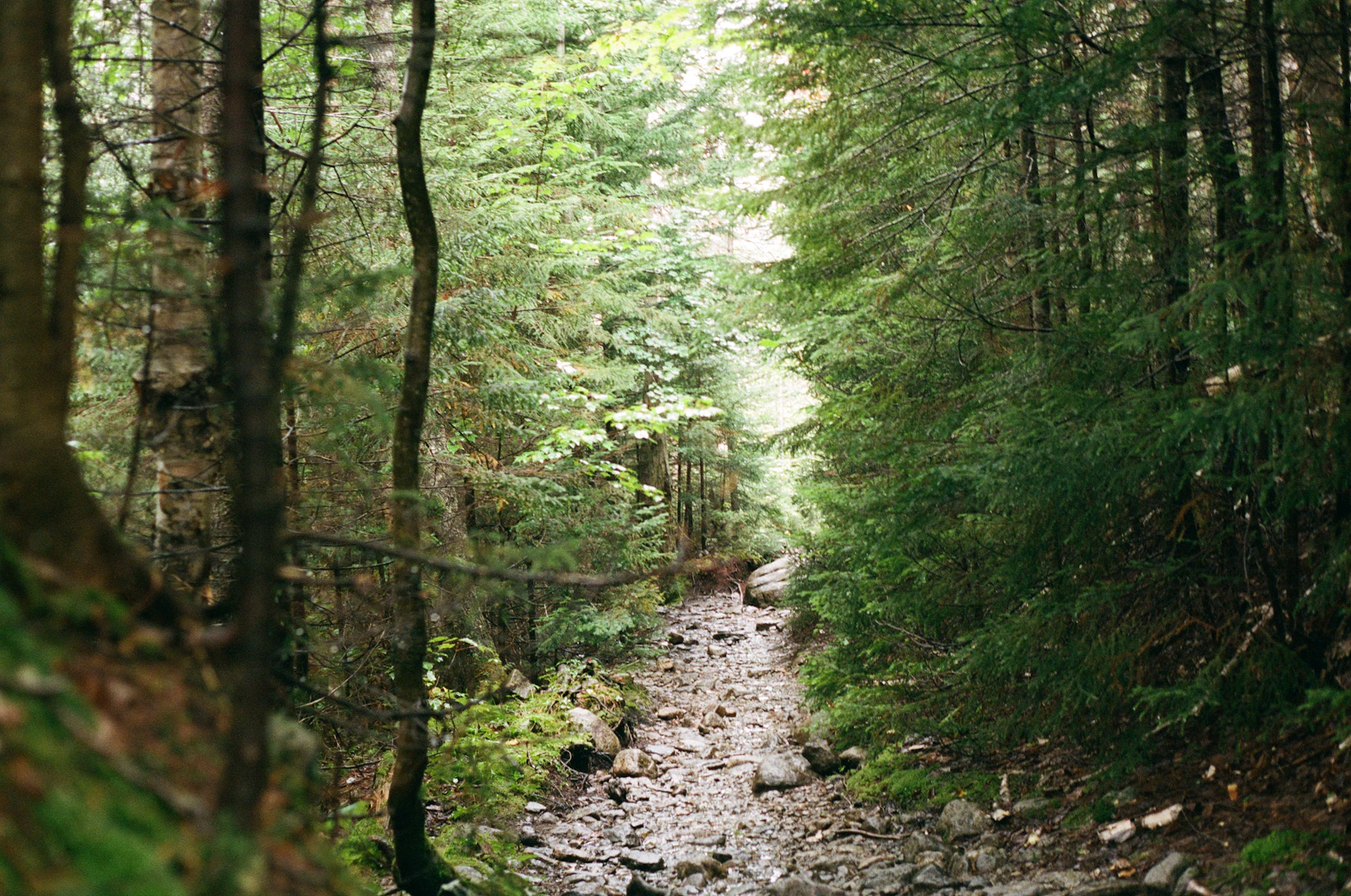 Lake Placid, New York photo 8 by Matthew Kettelkamp