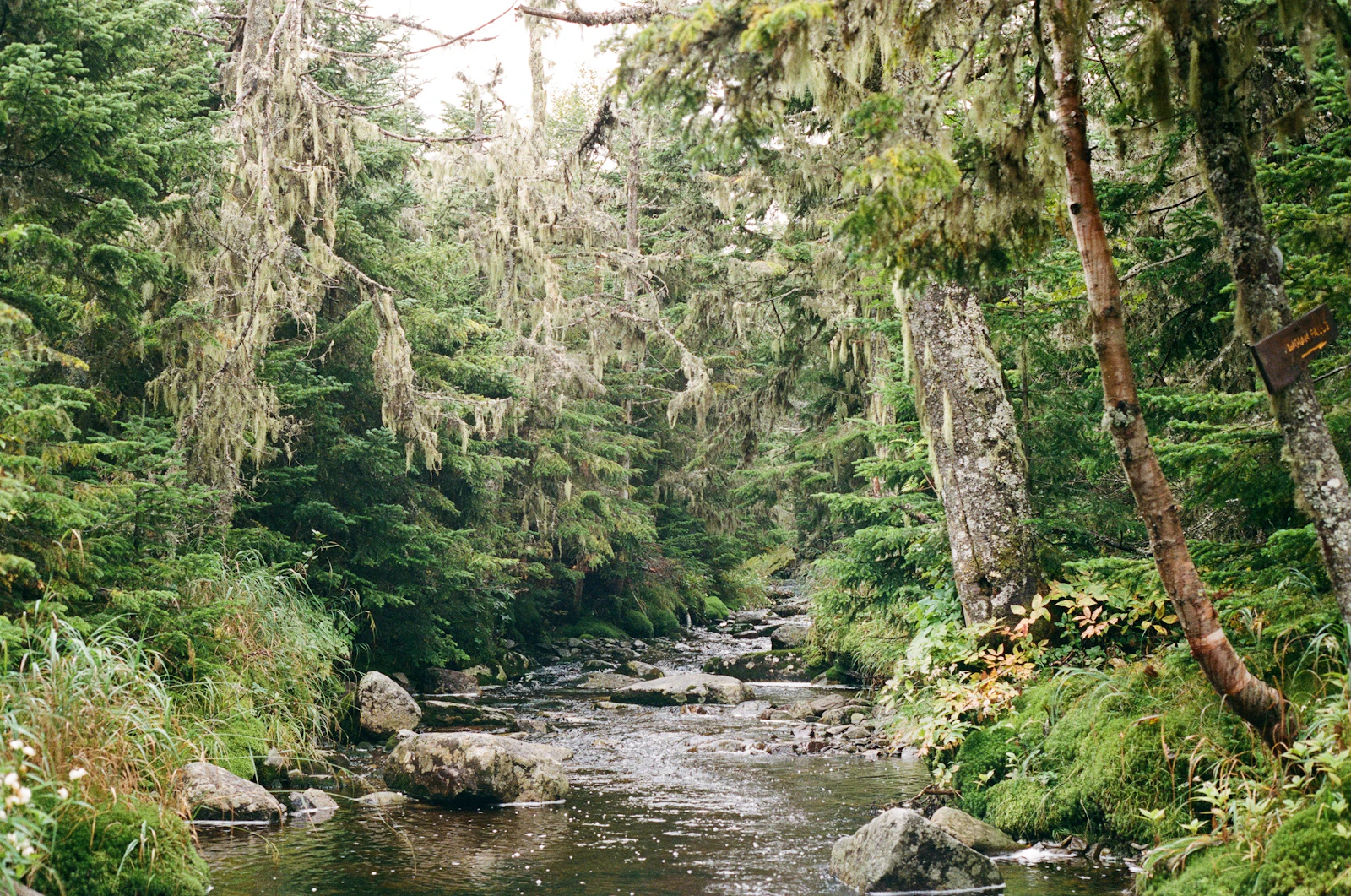 Lake Placid, New York photo 14 by Matthew Kettelkamp