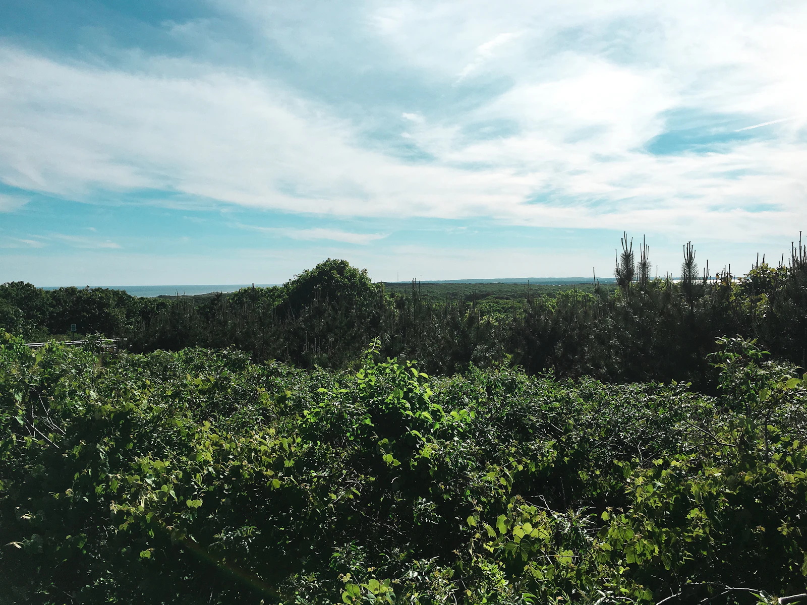Montauk, New York photo 19 by Island Group Studios