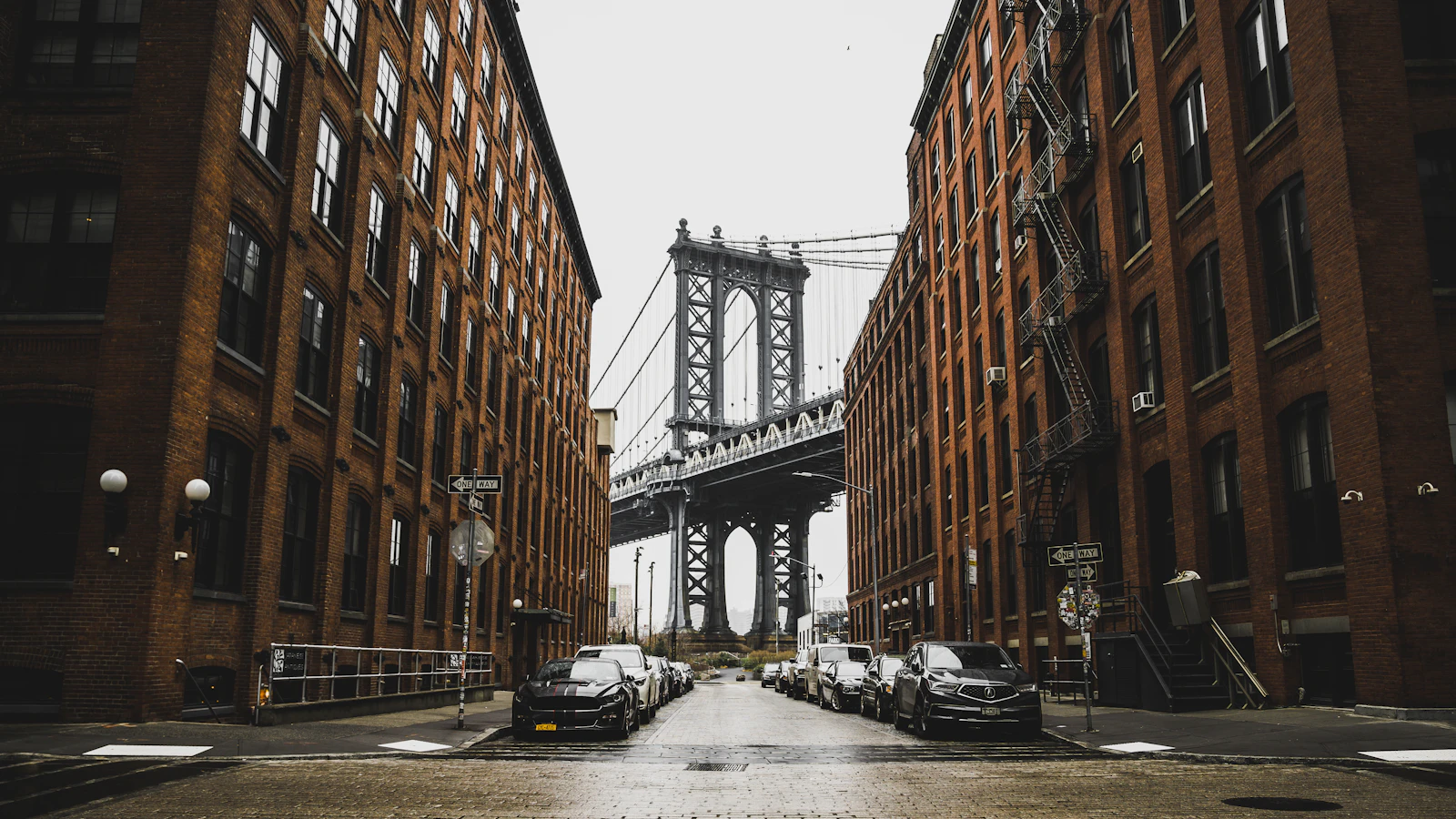New York City, New York photo 8 by Redd Francisco