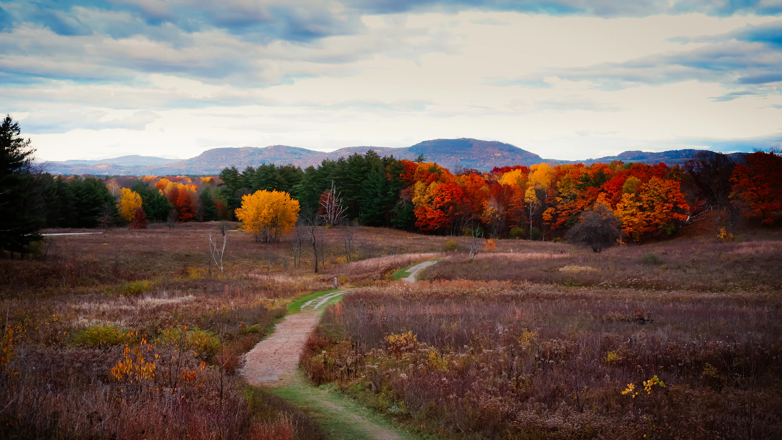 Saratoga Springs, New York photo 4 by Harry Gillen