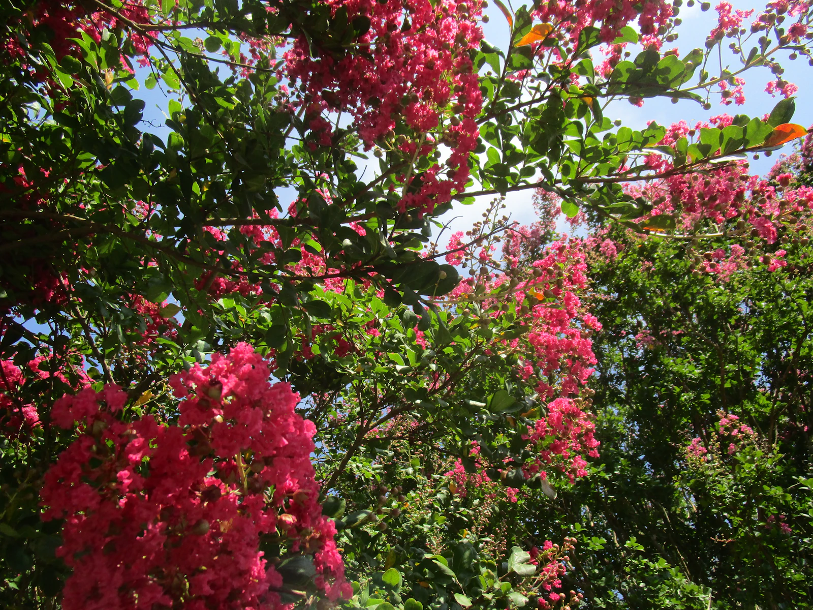 Asheville, North Carolina photo 26 by Kaylin Bocker