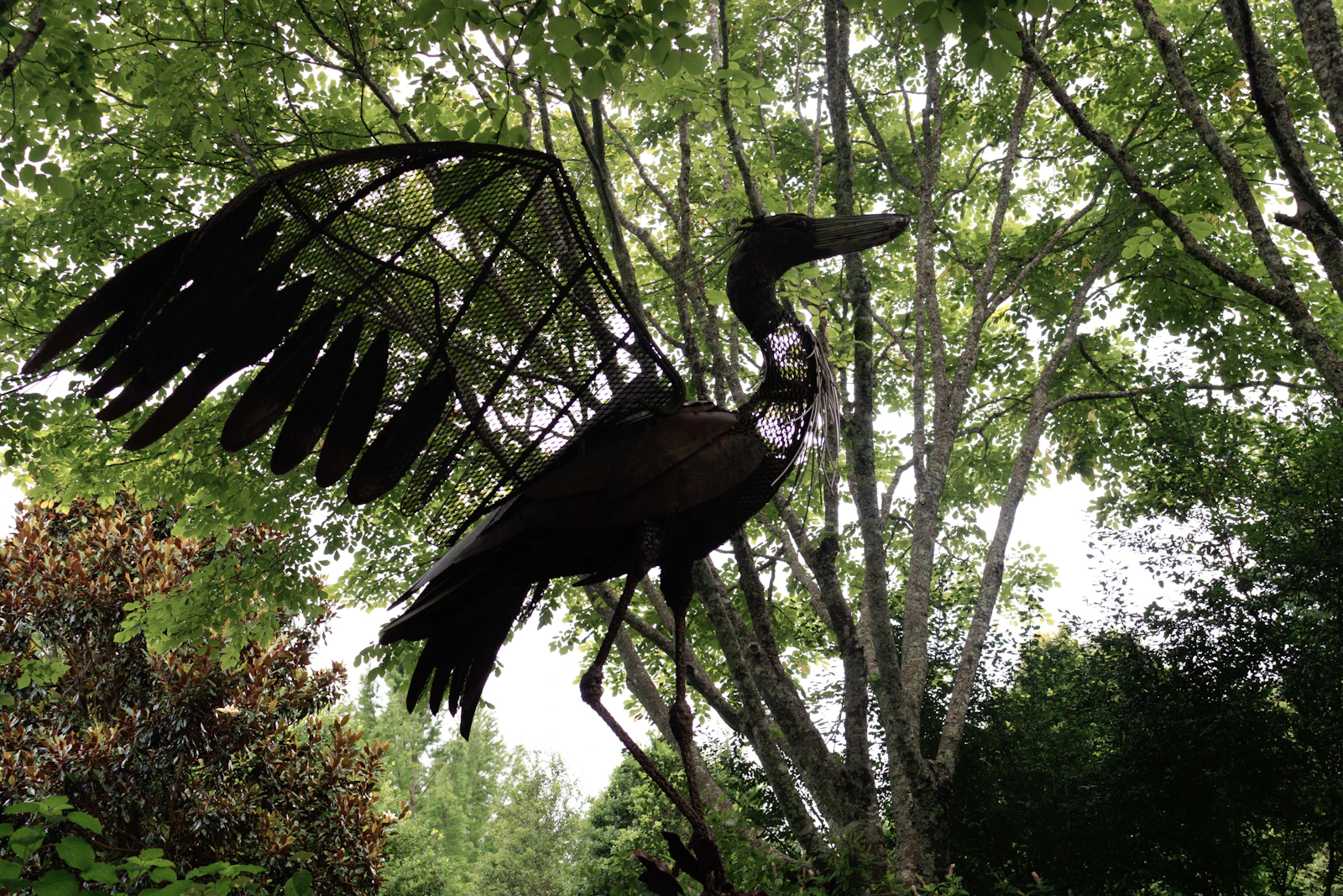 Asheville, North Carolina photo 30 by Wes McFee