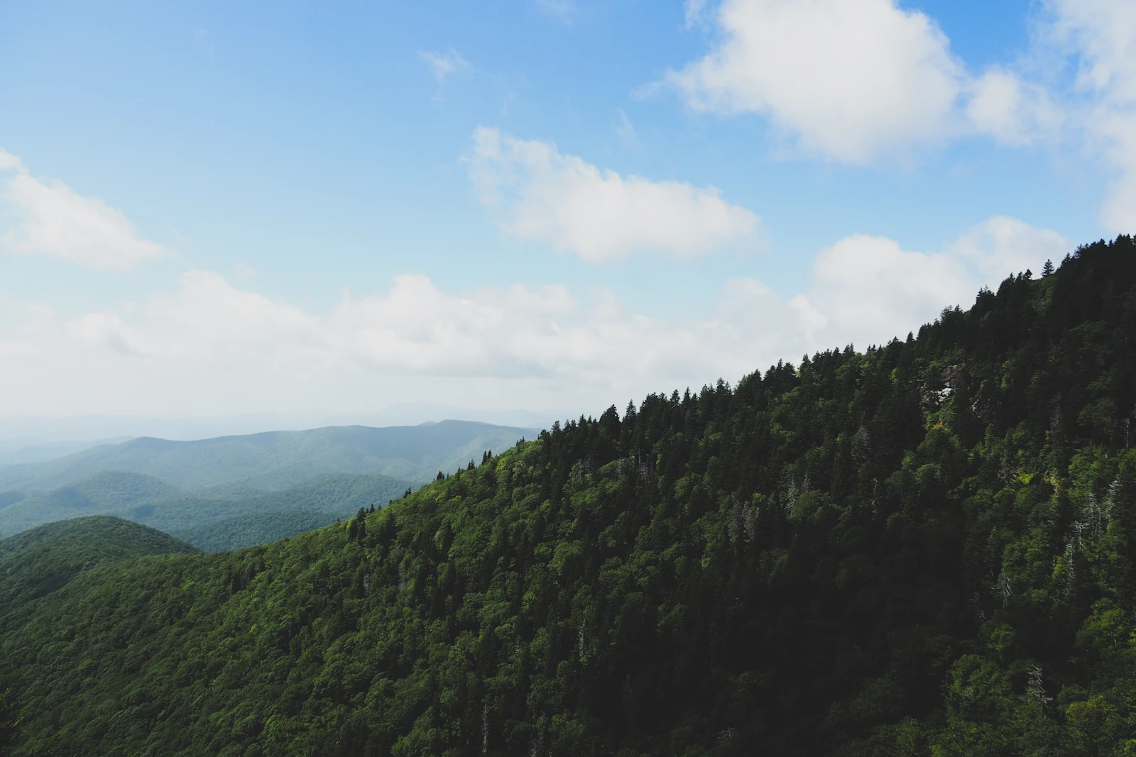 Asheville, North Carolina photo 11 by Clayton Manche