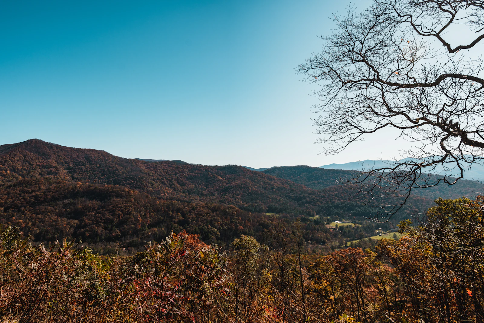 Asheville, North Carolina photo 12 by Airam Dato-on