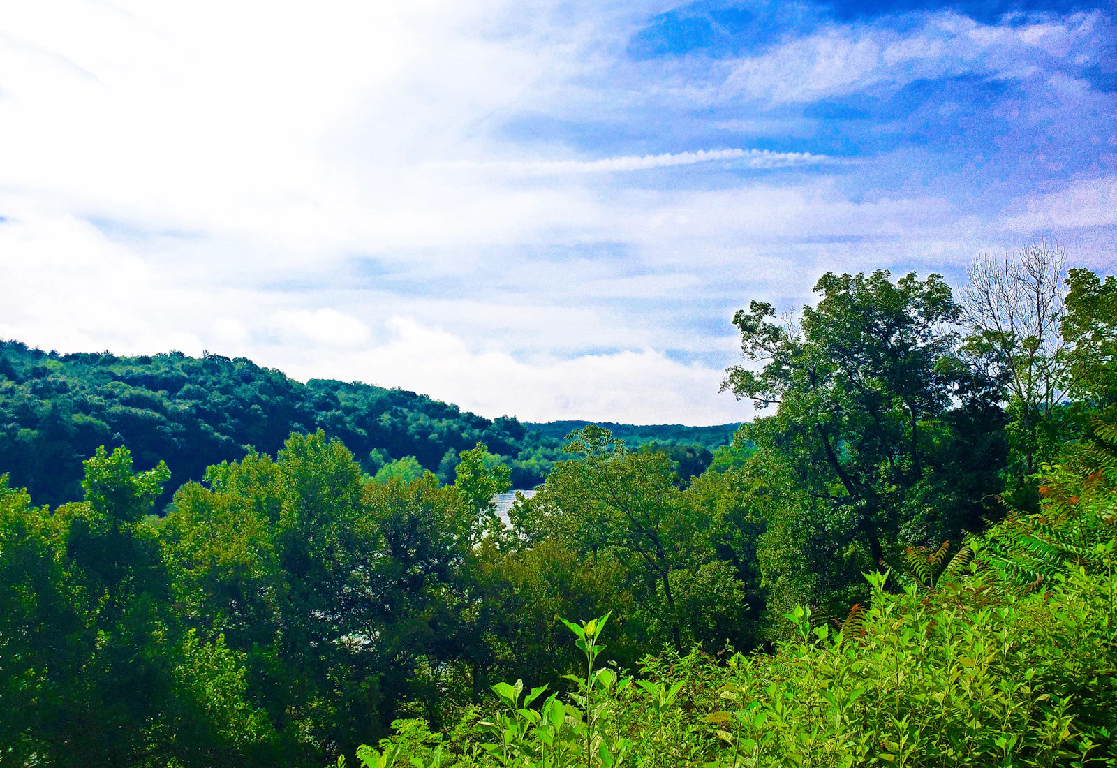 Asheville, North Carolina photo 16 by Kevin Dunlap
