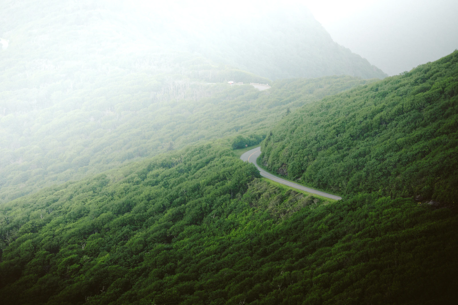 Asheville, North Carolina photo 20 by Wes Hicks