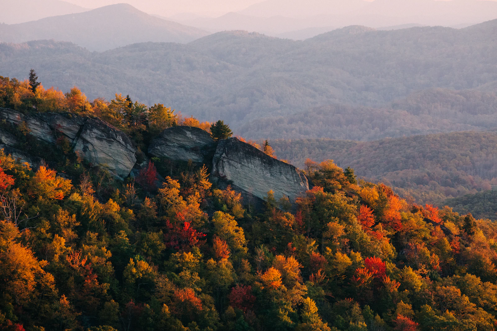 Charlotte, North Carolina photo 3 by Wes Hicks