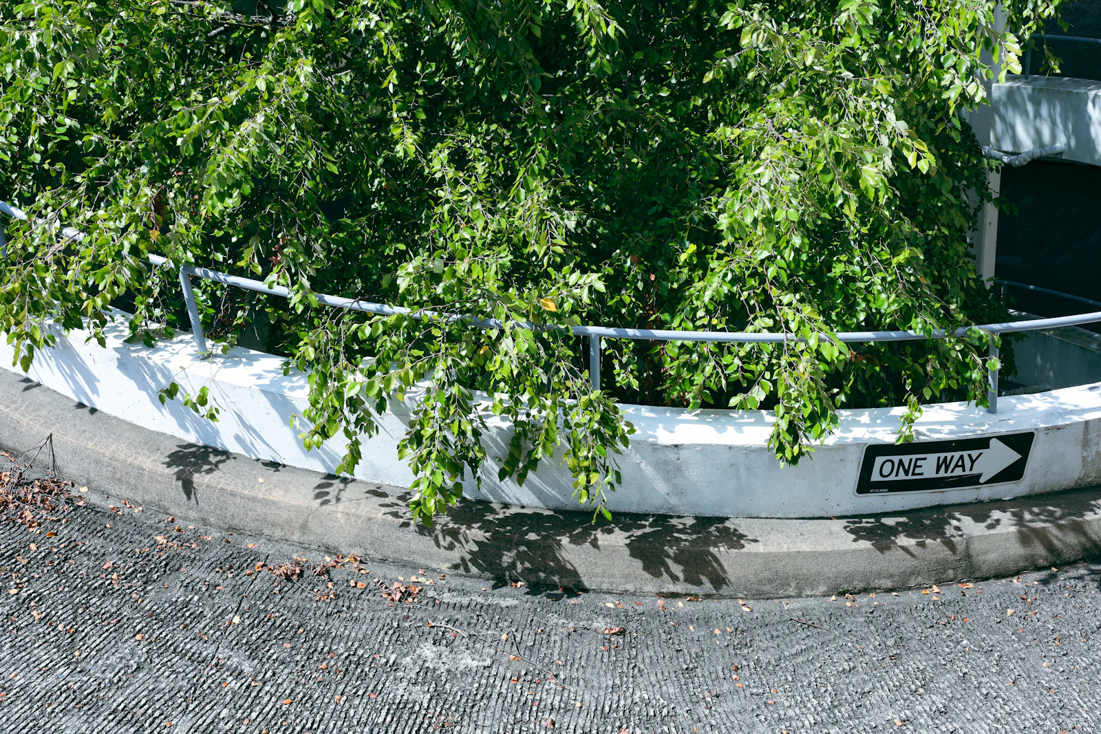 Durham, North Carolina photo 17 by Brandon Griggs