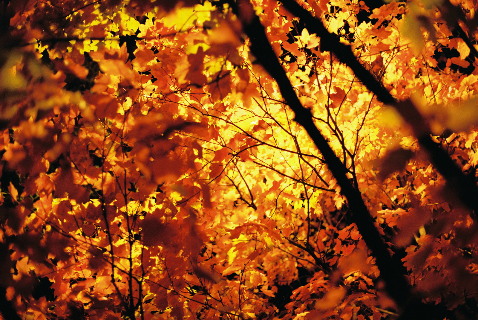 Durham, North Carolina photo 30 by Hayes Potter