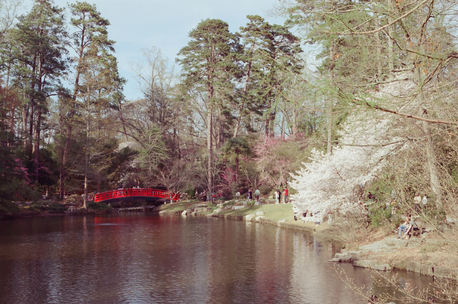 Durham, North Carolina photo 13 by Jin Yi Yong