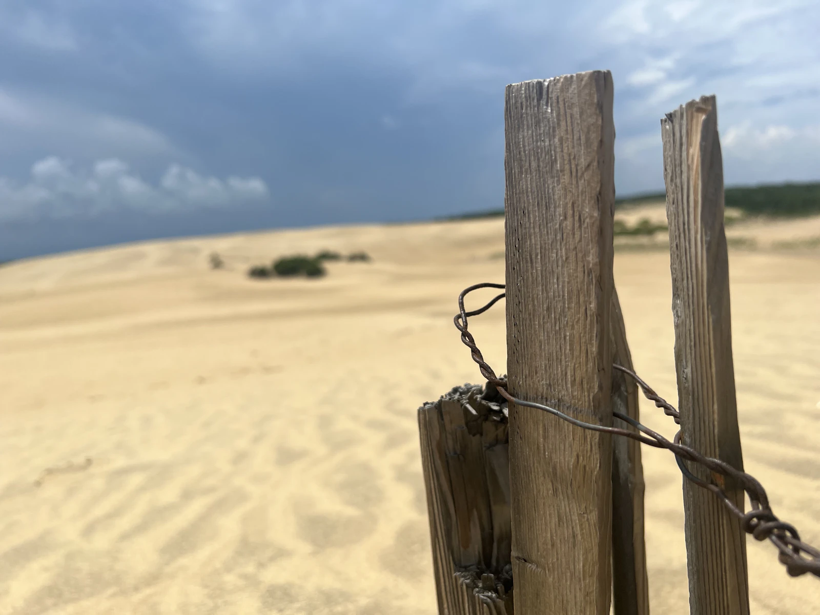 Nags Head, North Carolina photo 29 by John Macdonald
