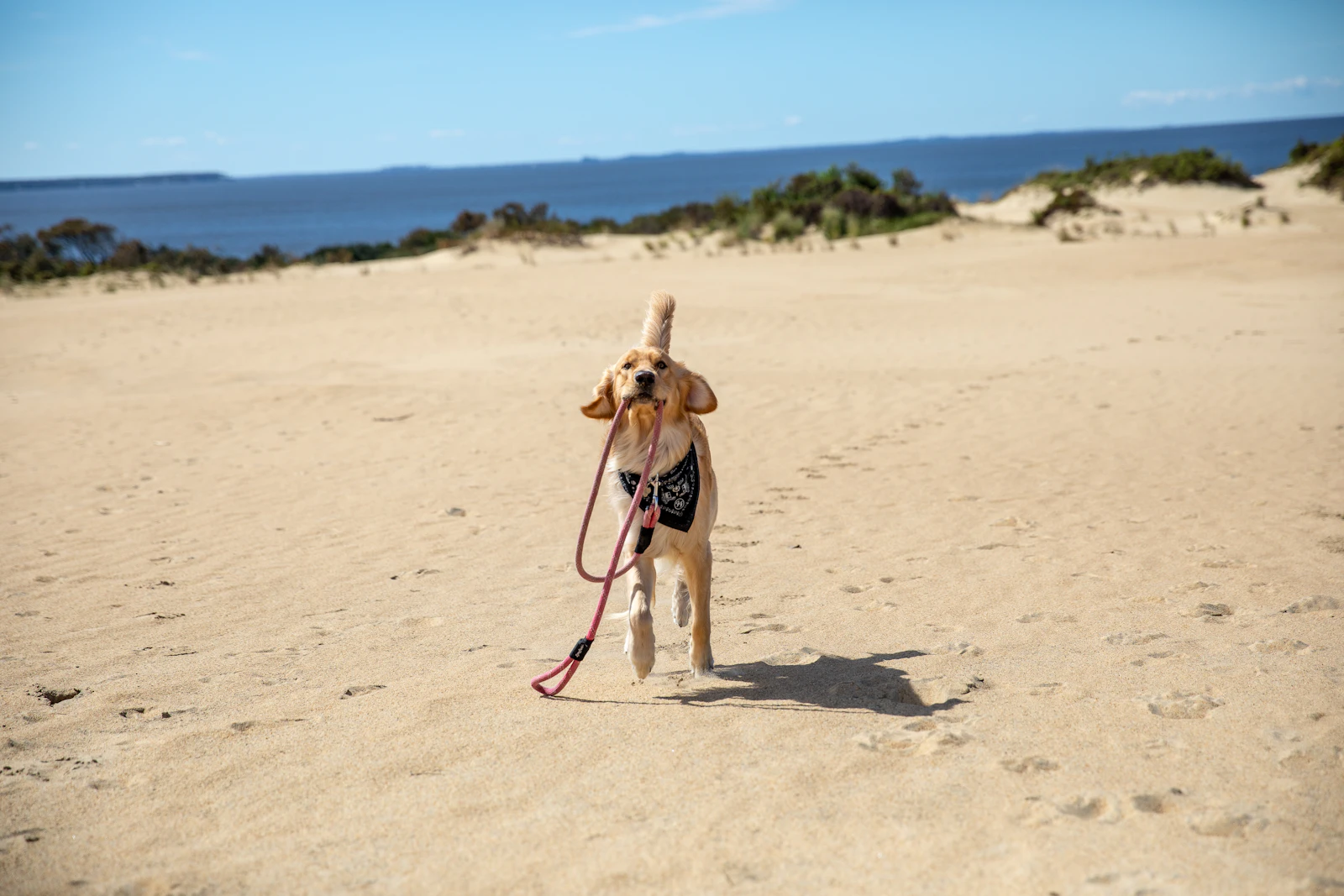 Nags Head, North Carolina photo 20 by Elisa Kennemer