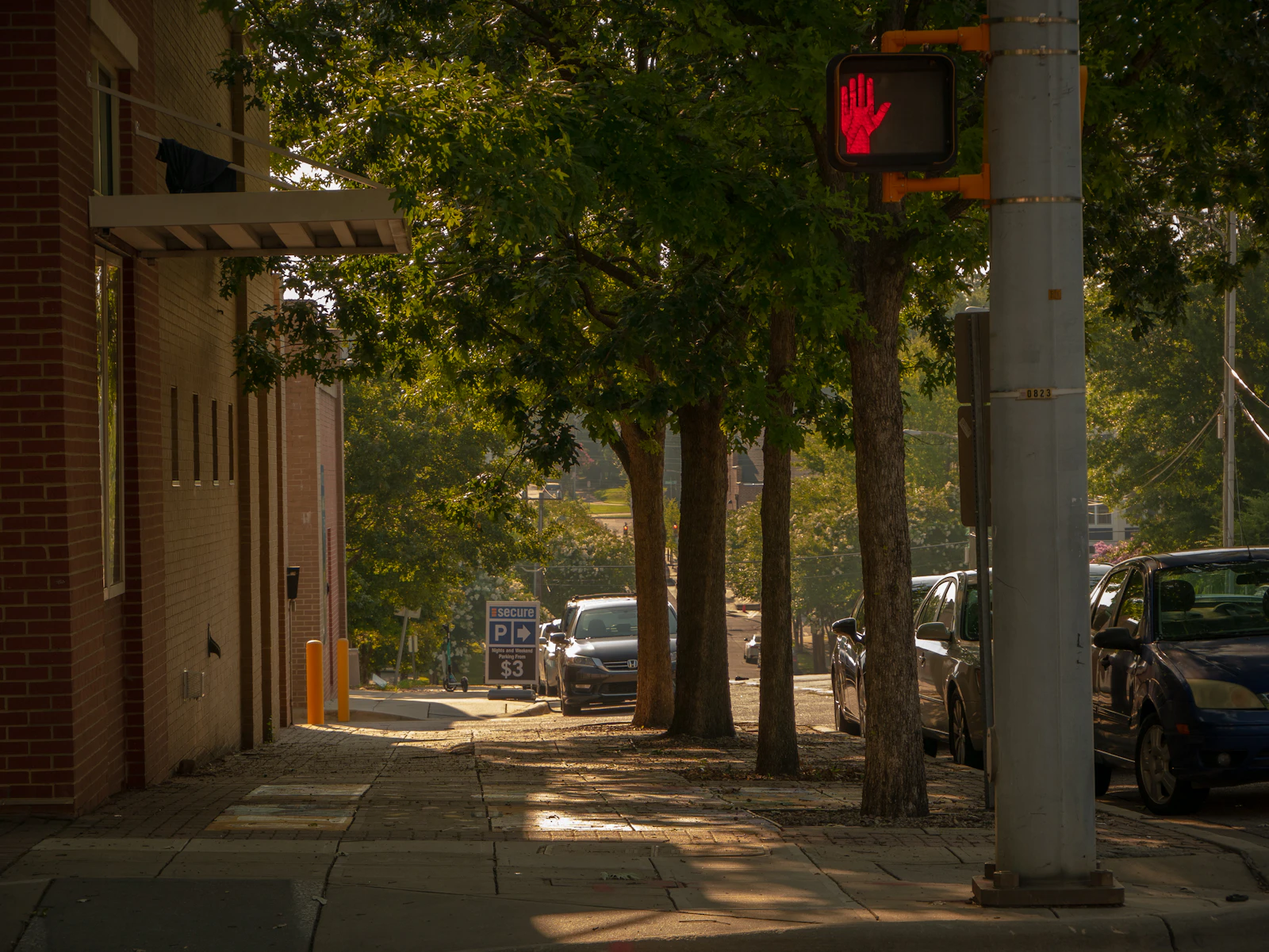 Raleigh, North Carolina photo 9 by Ali Abbas Kadhim