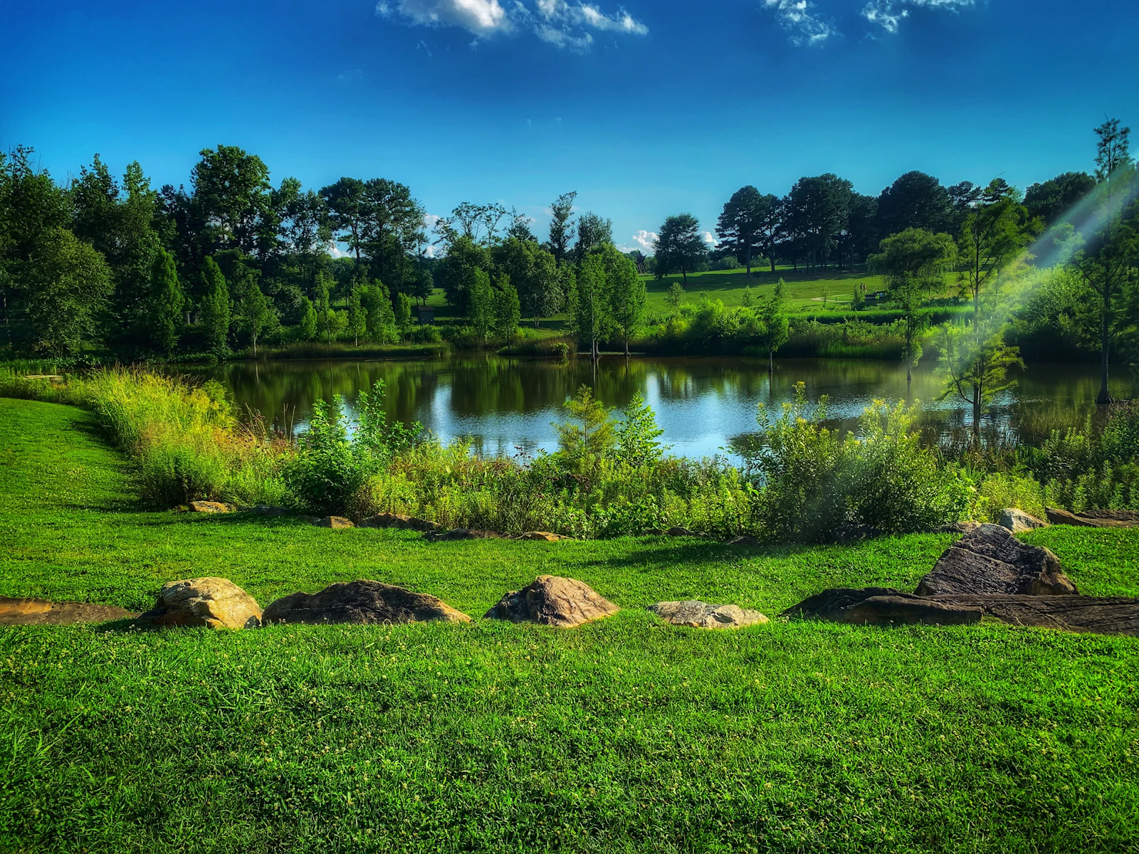 Raleigh, North Carolina photo 10 by Sean Russell