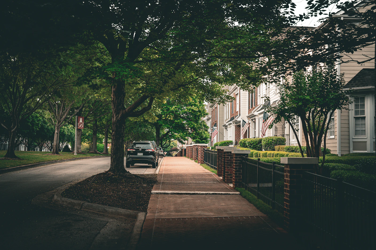 Raleigh, North Carolina photo 19 by Sam