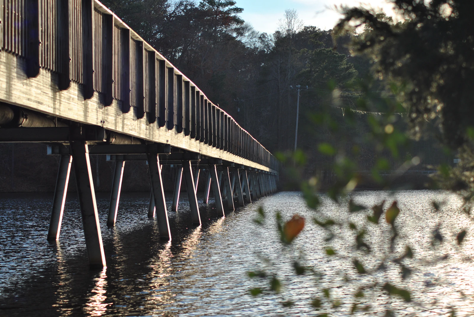 Raleigh, North Carolina photo 7 by Rich Brents