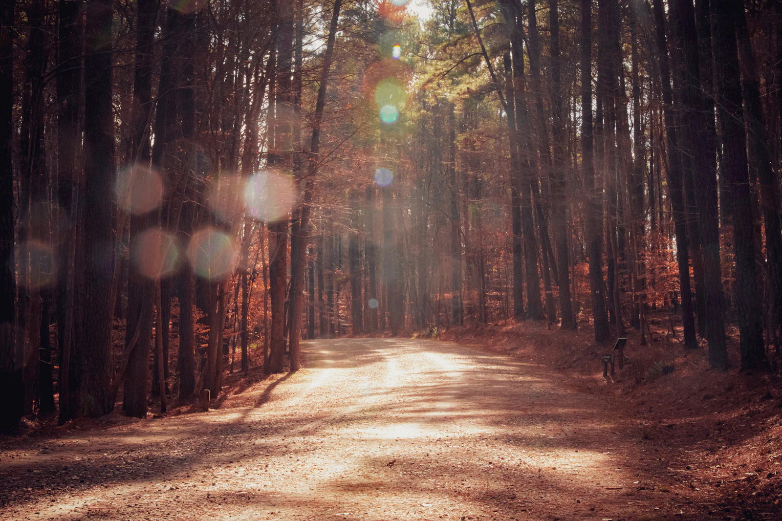 Raleigh, North Carolina photo 14 by Jay Honeycutt