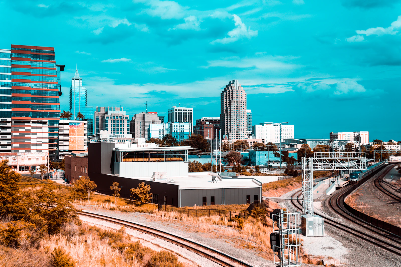 Raleigh, North Carolina photo 1 by TJ Wallace