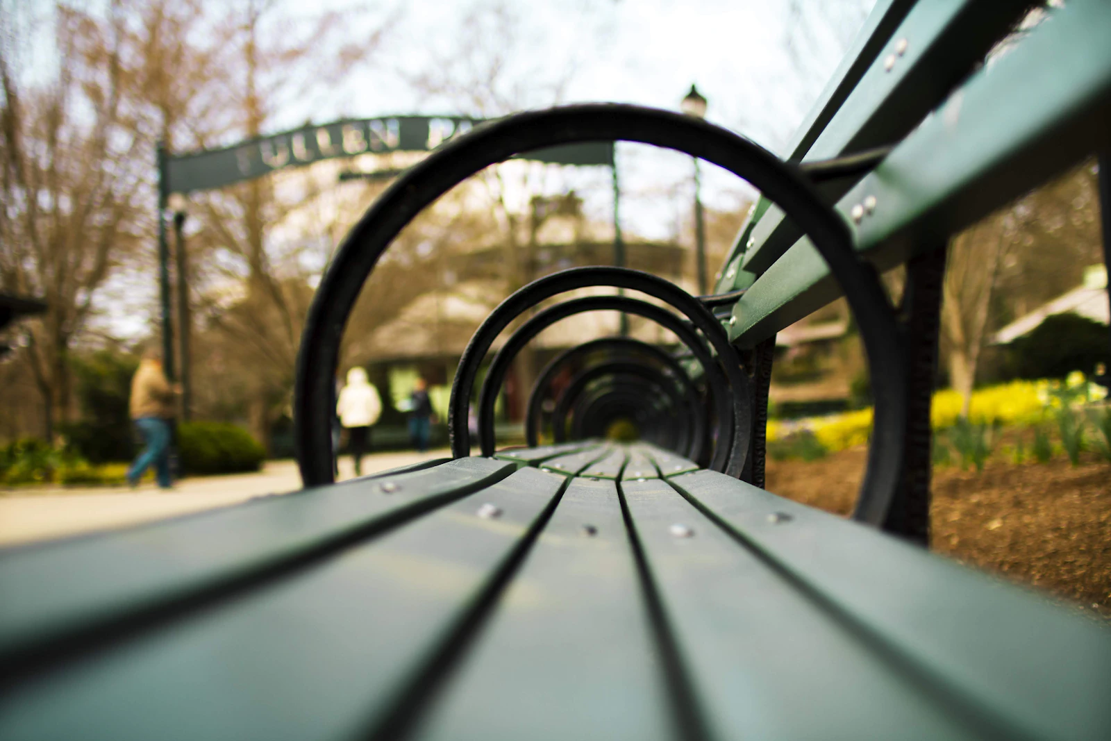 Raleigh, North Carolina photo 13 by Darrien Staton