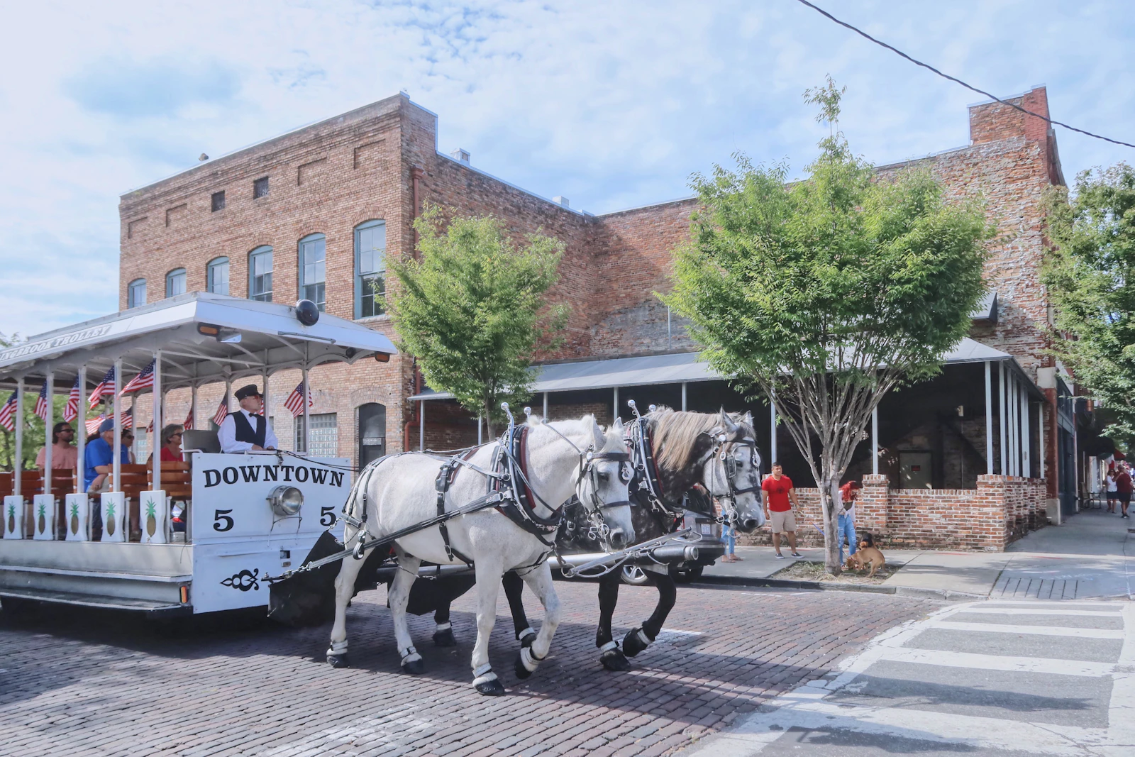 Wilmington, North Carolina photo 3 by Wentao Liu